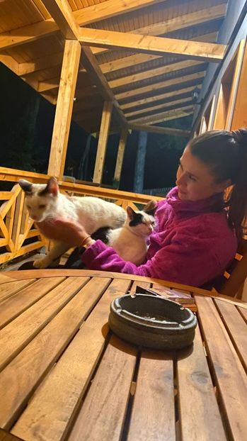 IMG-20220802-WA0045 - Descarcari 2