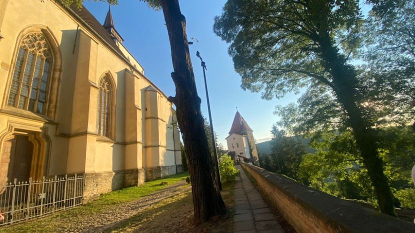 IMG-20220803-WA0023 - Descarcari 2