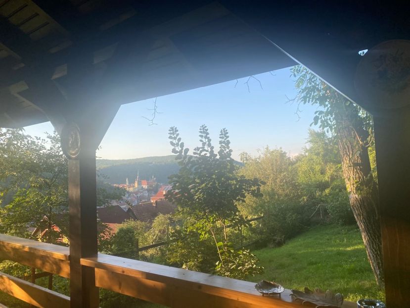 IMG-20220804-WA0011 - Descarcari 2