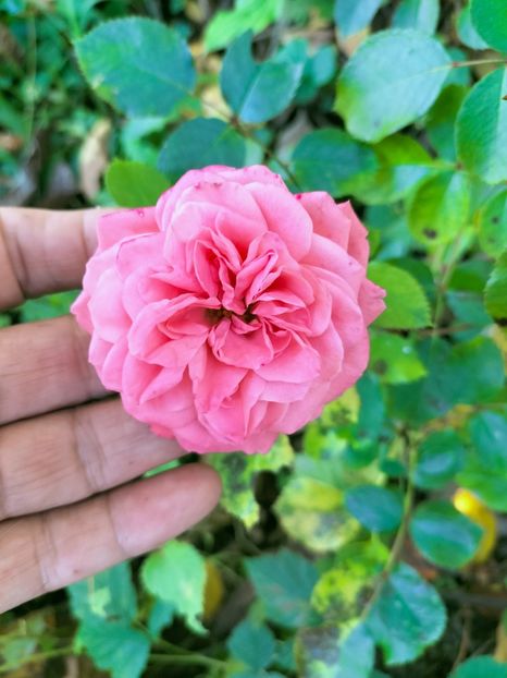 IMG20221021145817 - Octombrie 2022