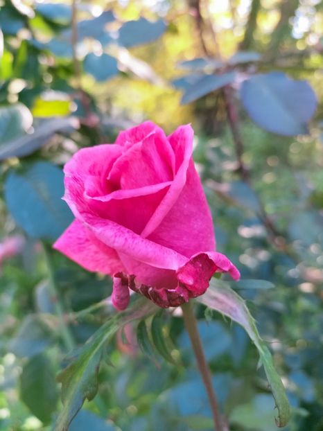 IMG20221021144228 - Octombrie 2022