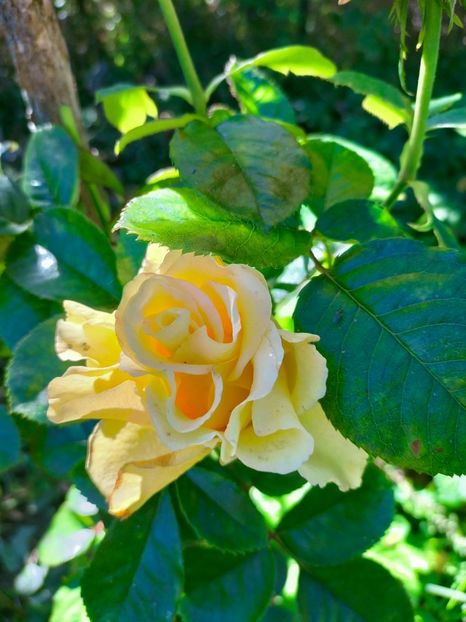 IMG20221021144031 - Octombrie 2022