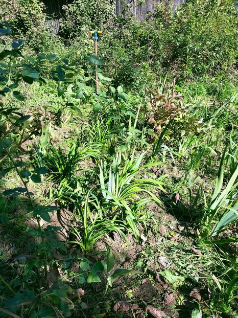 IMG20221019140005 - Octombrie 2022