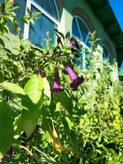 IMG20221019112639 - Octombrie 2022