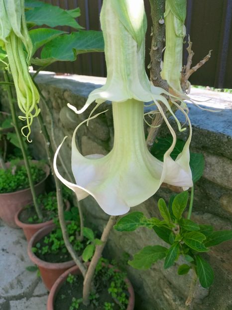 IMG20221019112627 - Octombrie 2022