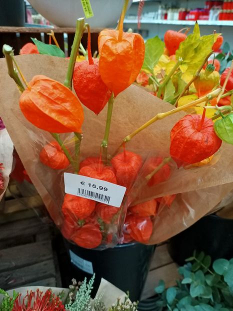 Img.2022.10.21 - Magazinul 2