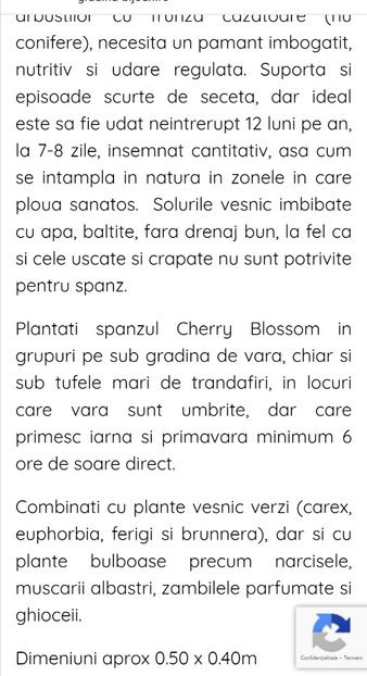  - aaa Comanda plante 2022 2023 2024