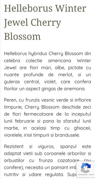  - aaa Comanda plante 2022 2023 2024