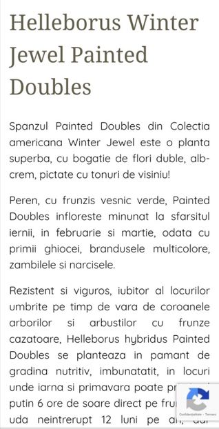  - aaa Comanda plante 2022 2023 2024