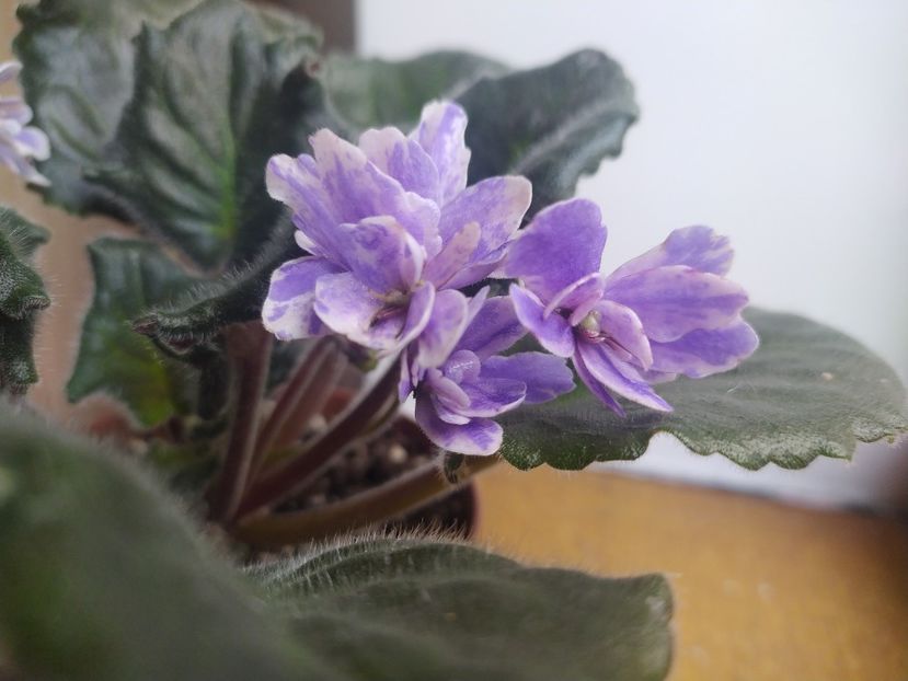 22 octombrie 2022 - KZ Dobrynia