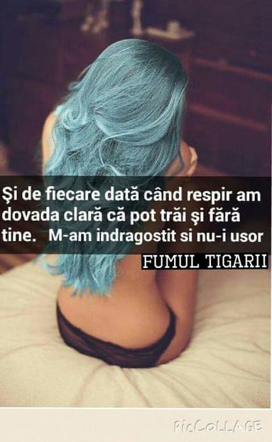 11950388_313866028737856_5353841170732146037_o - citate