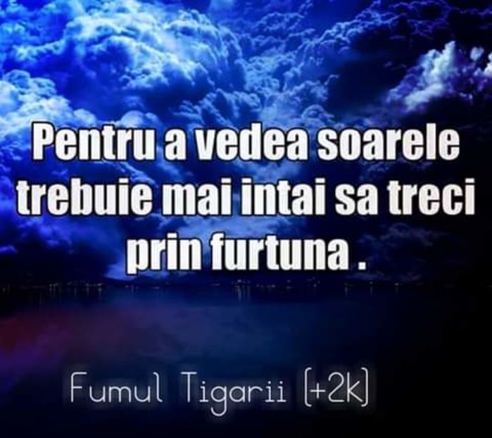 - citate