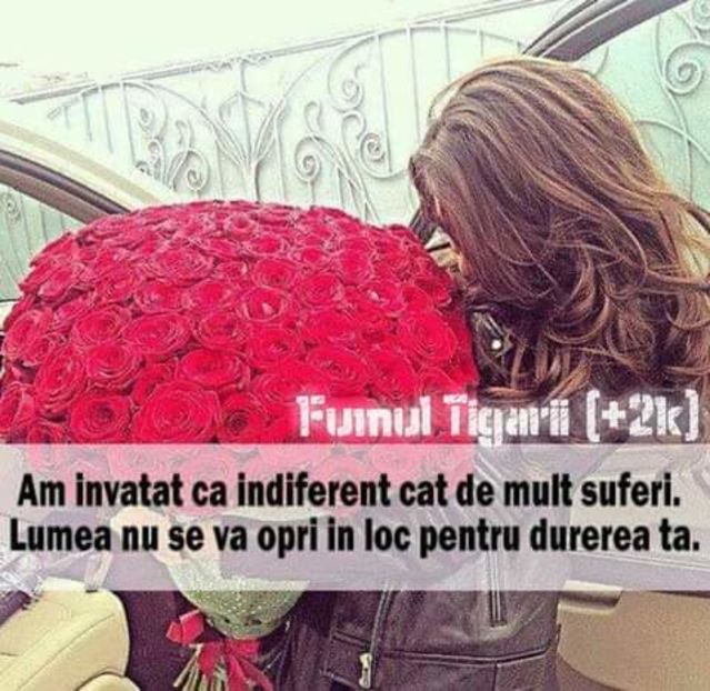  - citate