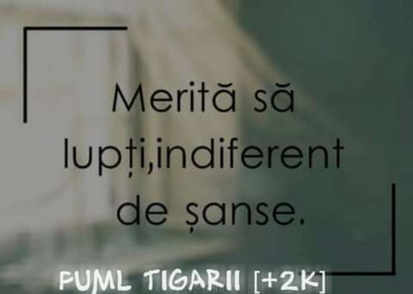  - citate