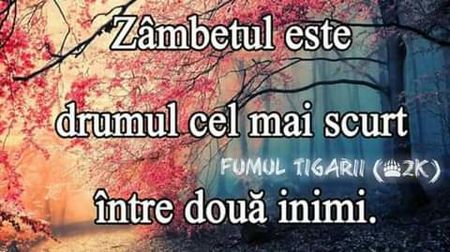 - citate