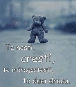  - citate faine