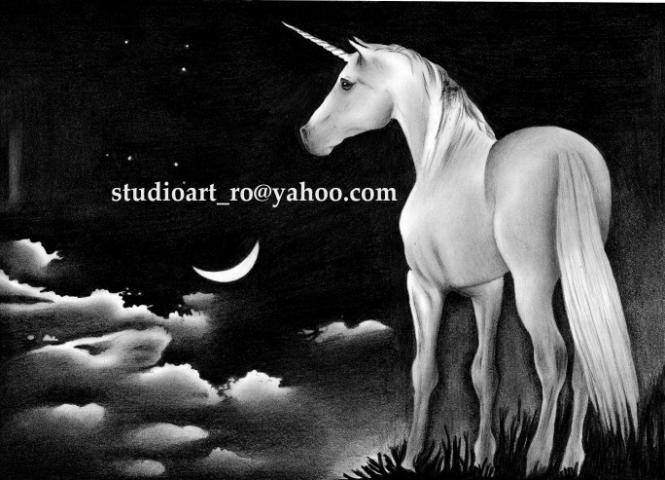 Unicorn - Realizez desene in creion la comanda.Pentru detalii vizitati  siteulhttpstudioart-ro.blogsp - poze ingerasii - dominik