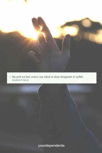  - citate faine