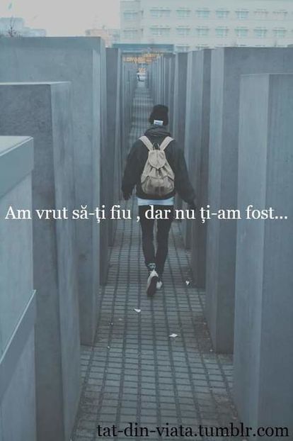  - citate faine