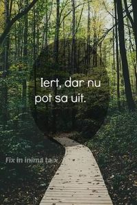102642925_ALIMFQF3 - citate