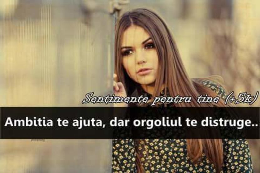  - citate