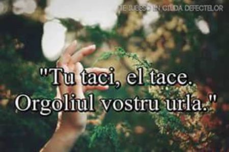 102642909_GIDMRTV - citate super