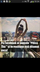 102642921_WXWRZMF - citate super
