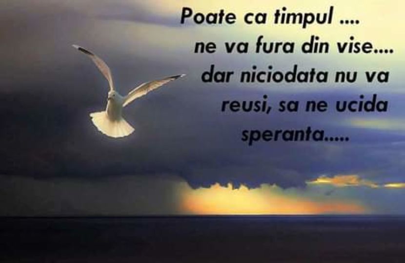  - citate