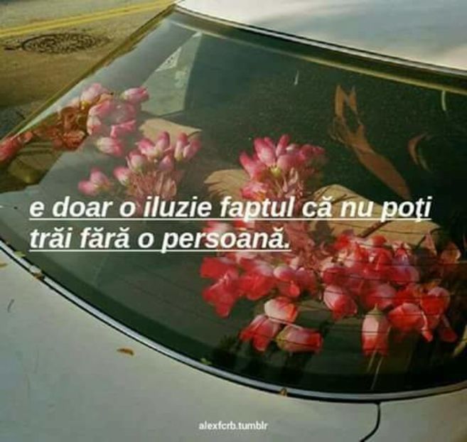  - citate