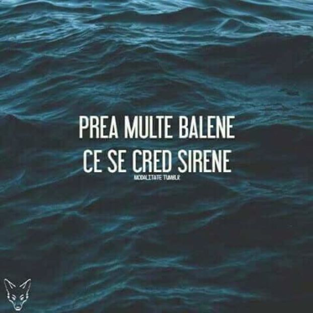  - citate