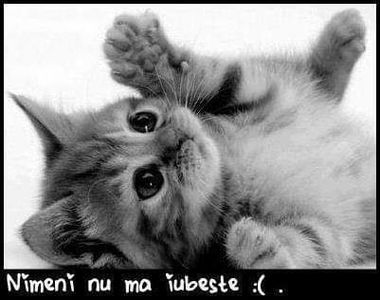  - citate