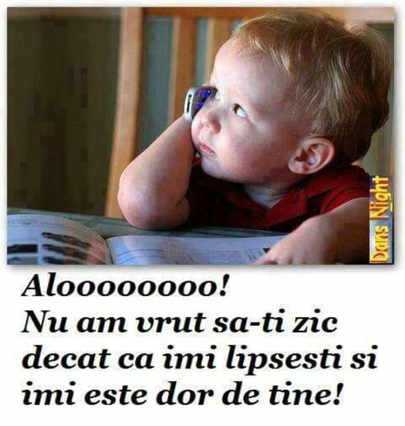  - citate