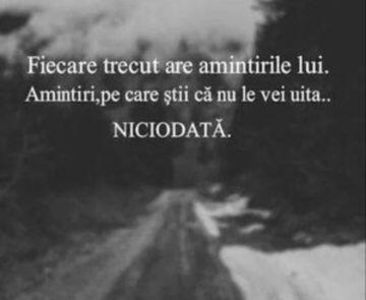 111433094_YAMLPYN3-1 - citate
