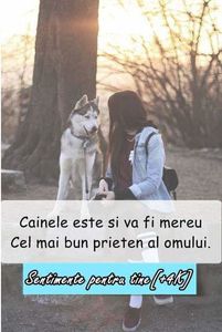  - citate