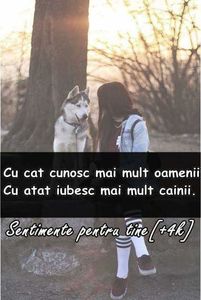  - citate