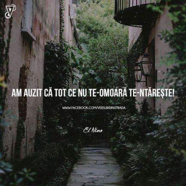  - citate
