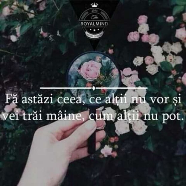  - citate