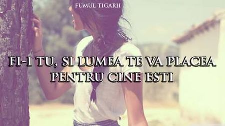  - citate faine
