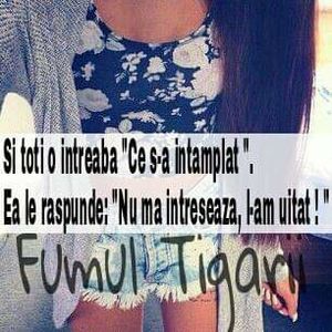  - citate faine
