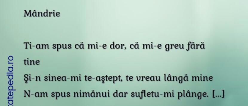 111433074_ERHWZZQ-1-1 - citate faine