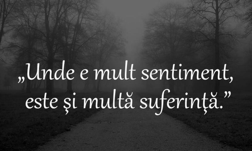 111453700_SZMRIFB3-1 - citate faine