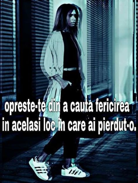  - citate faine