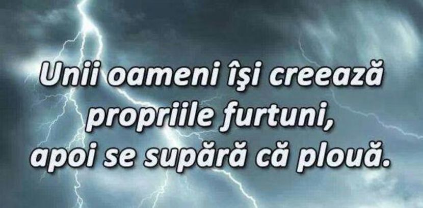 111453716_MECPYCR3-1 - citate faine