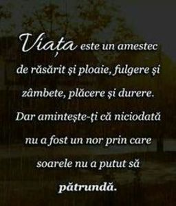 111433063_VZBCSGG3-1 - citate faine