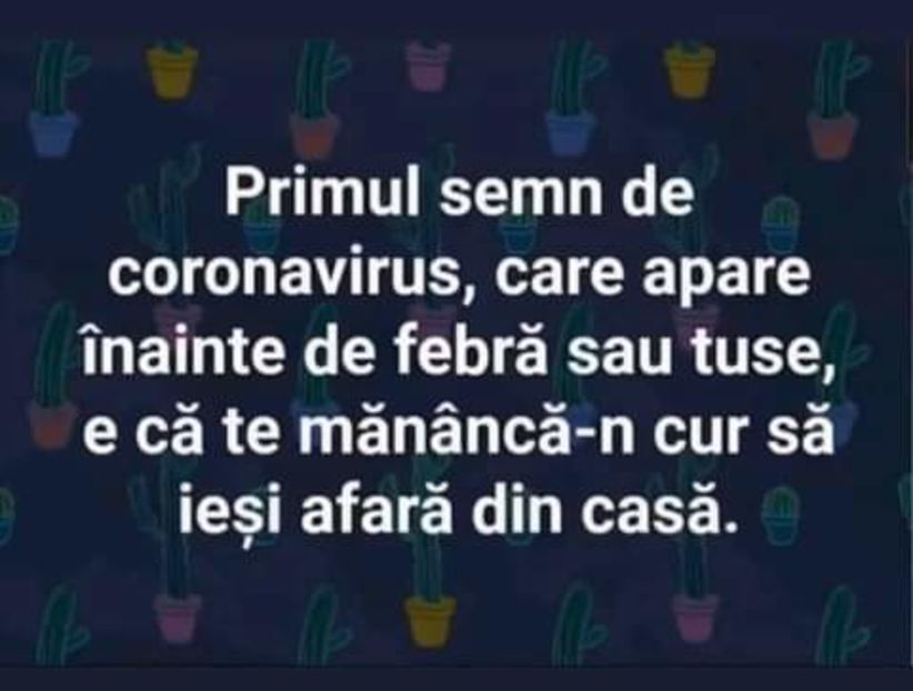 - citate super