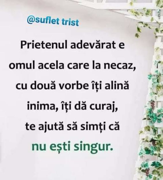  - citate dragute