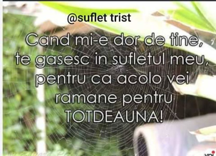  - citate frumoase