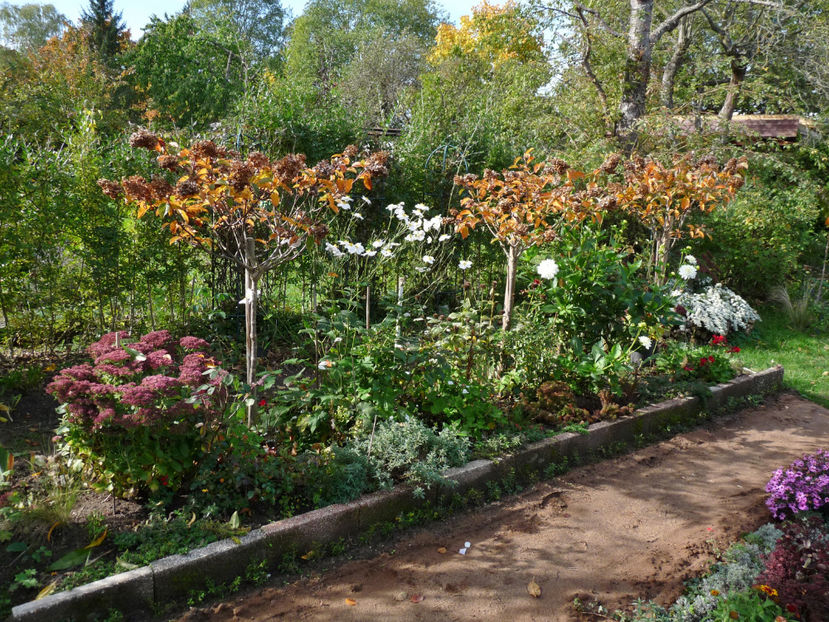  - 2022 - 03 - Toamna