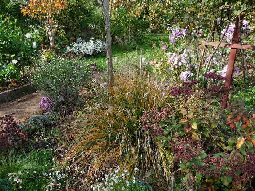  - 2022 - 03 - Toamna