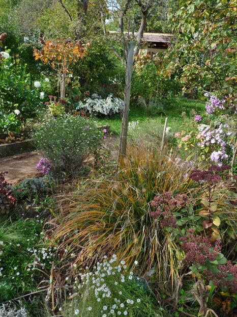  - 2022 - 03 - Toamna